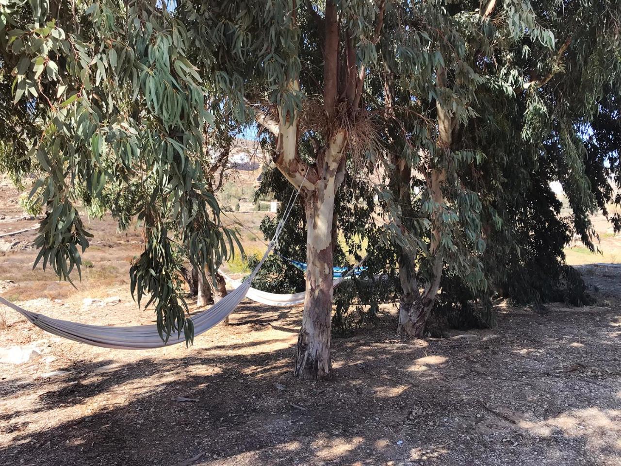 Arokaria Hideaway Suites Krotiri Εξωτερικό φωτογραφία